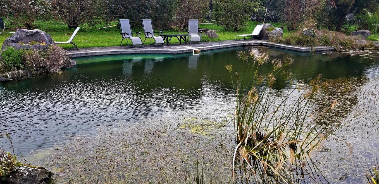 Quinta Do Bom Despacho Ponta Delgada Dış mekan fotoğraf